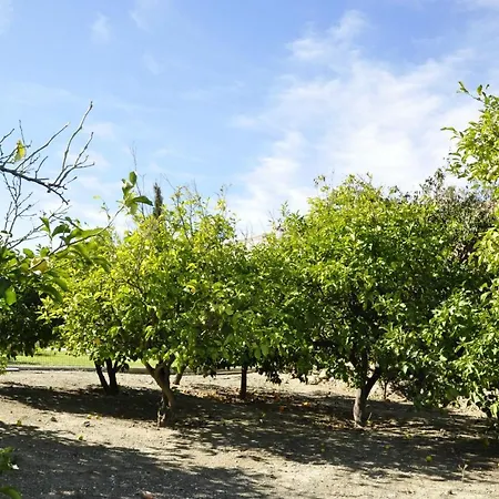 Lo Antonio Coronao -- Private -bbq- Pool And Spectacular Garden With Sea Views -wifi-600mps-